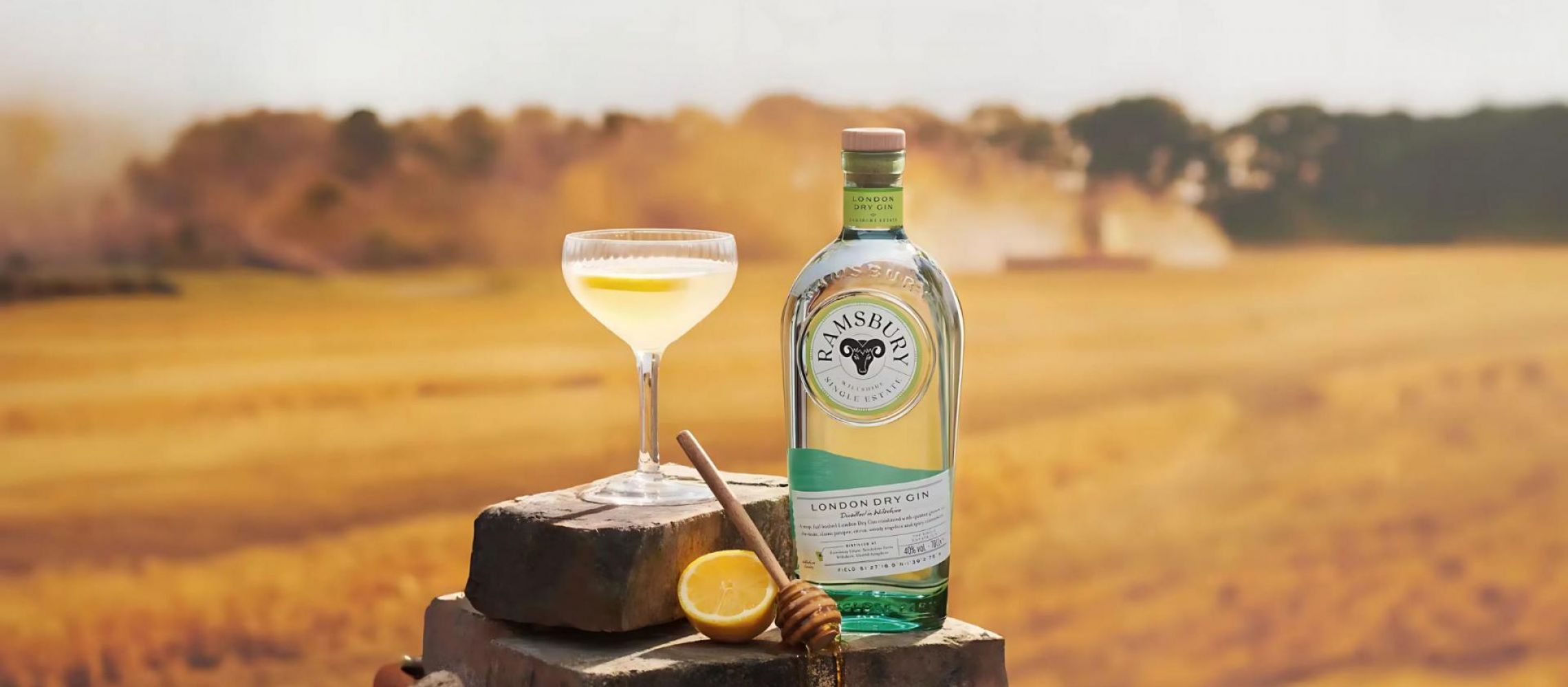 Photo for: Ramsbury Gin Takes Top Honours at the 2025 London Spirits Competition
