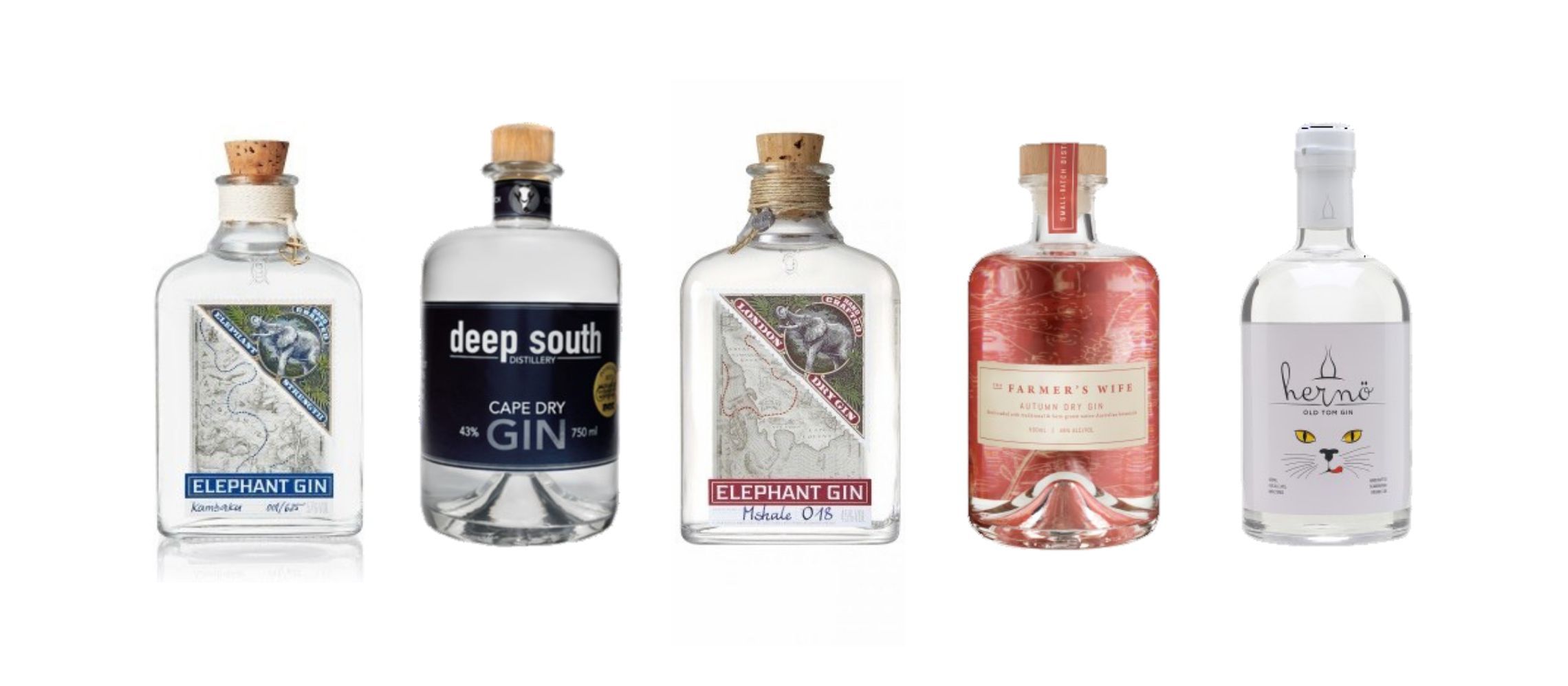 Photo for: Gins to Try on World Gin Day