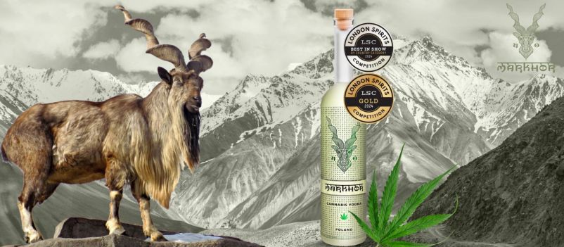 Photo for: Top Award Winning Cannabis Vodka On Winning London Spirits Competition Medal
