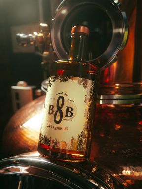Logo for: Dry Gin Zitrone 