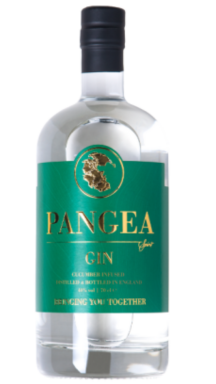 Logo for: Pangea Spirt Gin