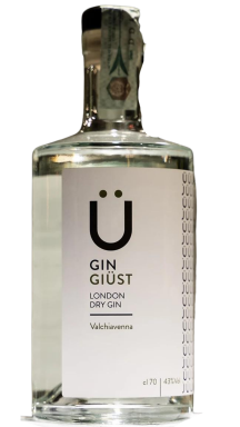 Logo for: Gin Giüst