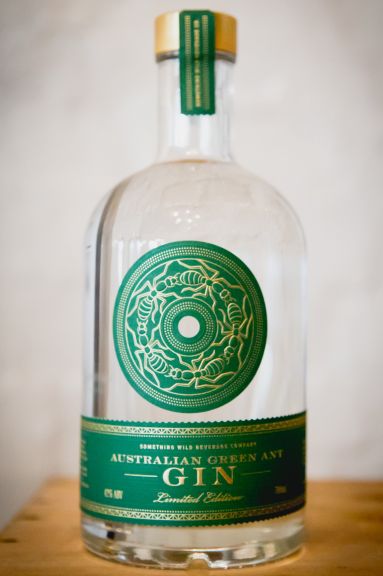 Photo for: GREEN ANT GIN