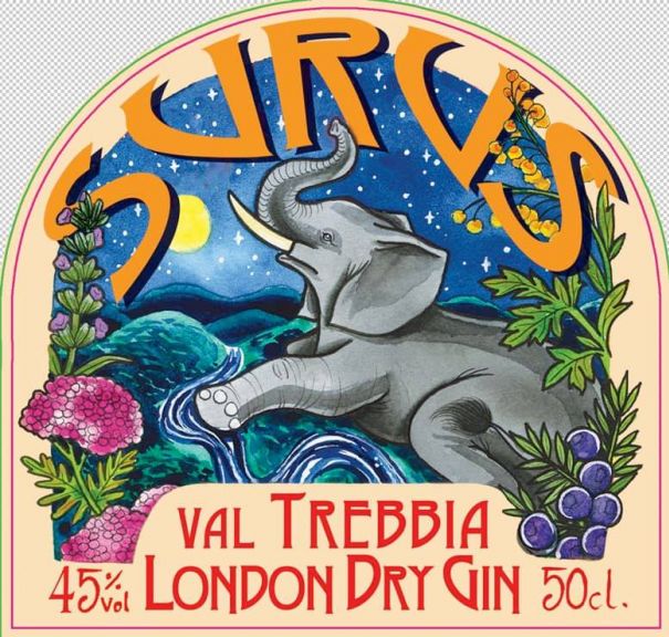 Photo for: Surus 45 London Dry Gin