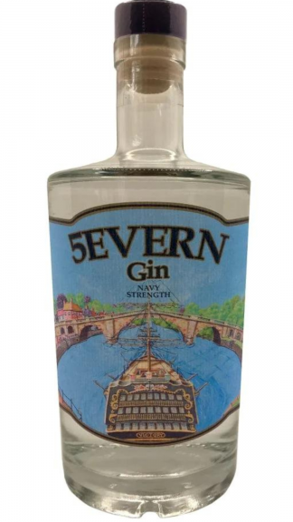 Photo for: 5evern Gin